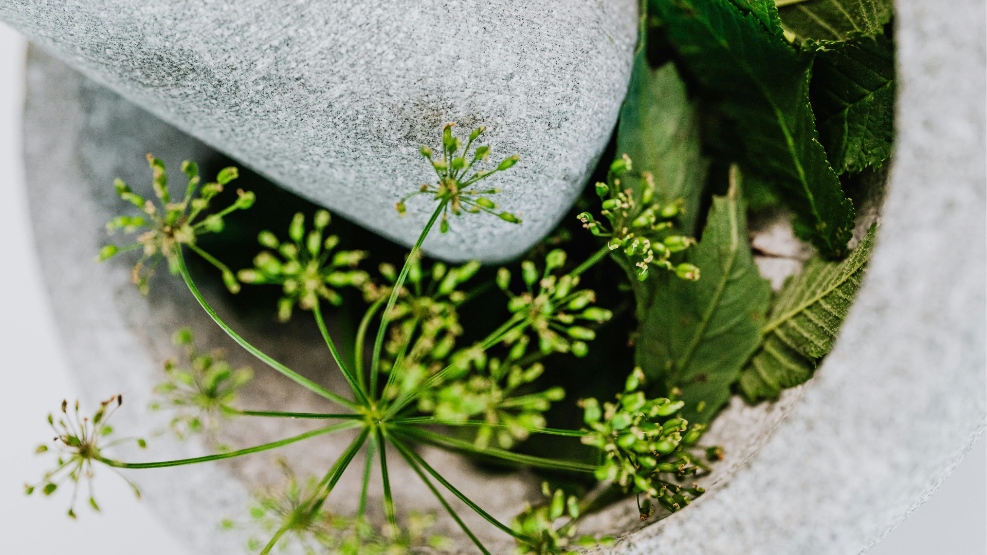 pestle-with-green-leaves